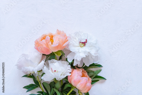 White and pink peonies on white concrete backdrop, greetings card, mother day, wedding invitation, flower store concept. Space for text