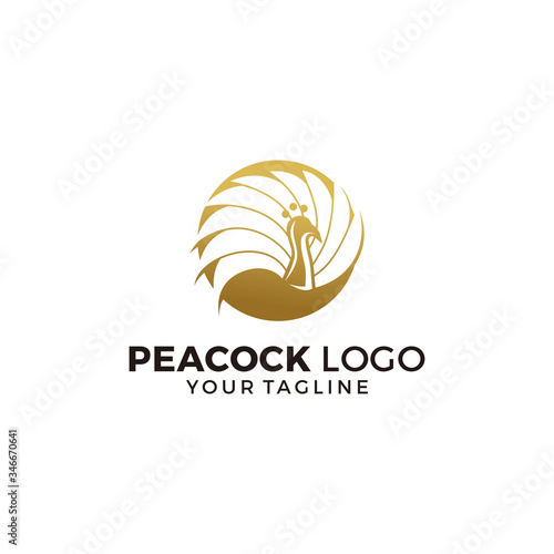 Peacock Logo Design Vector Illustration