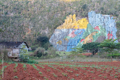 mural de la prehistoria en el valle de viñales