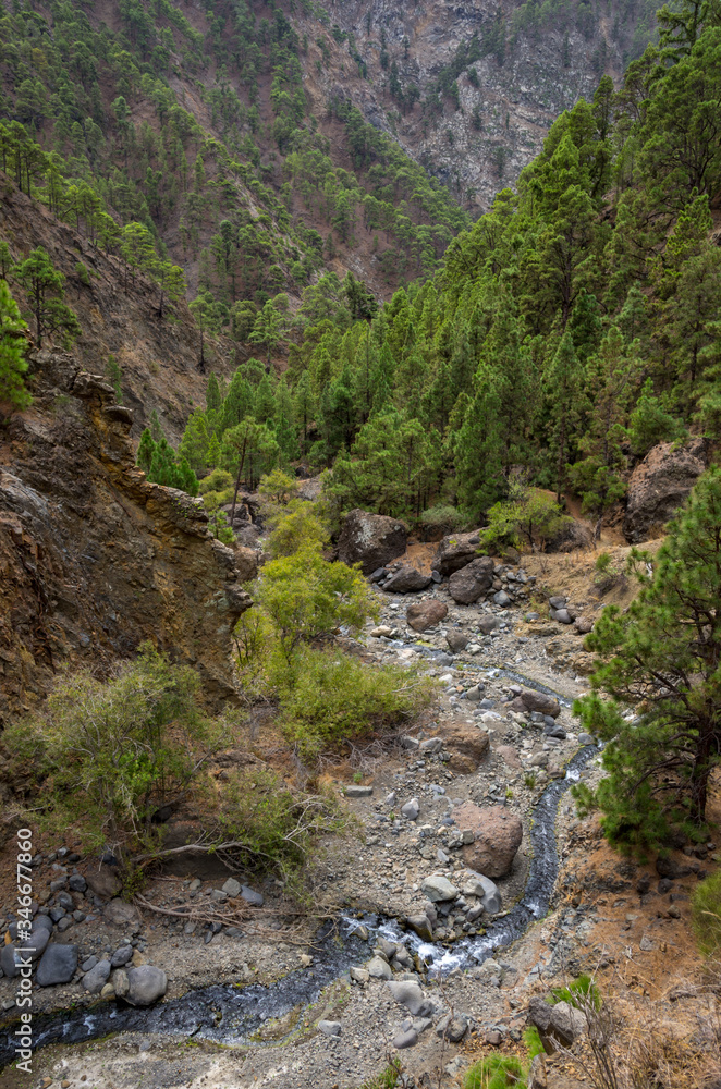 Barranco de las Angustias gorge in La Caldera de Taburiente in La Palma