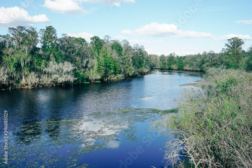 Hillsborough river at Tampa  Florida 