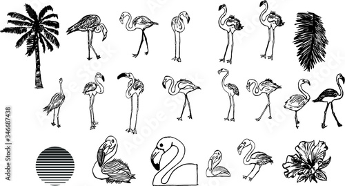 flamingo embroidery graphic design vector art
