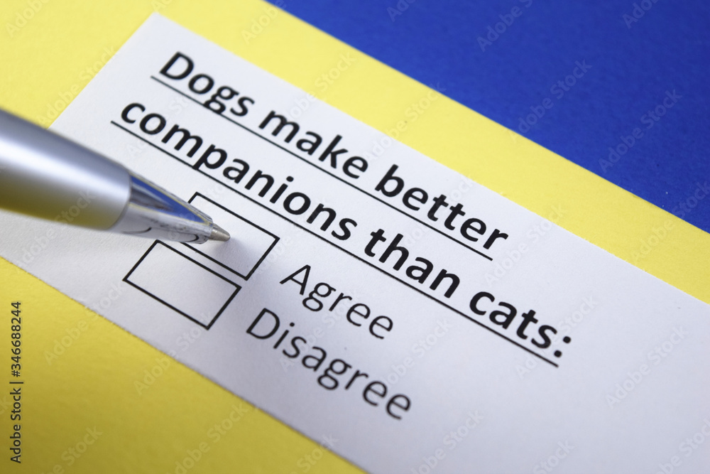 Dog make better companions than cats: Agree or disagree? Dog make better companions than cats: Agree or disagree?