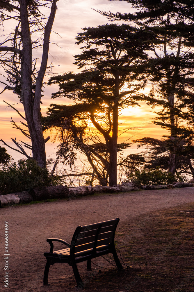 Lonely bench in Land's End woods at sunset, San Francisco, California