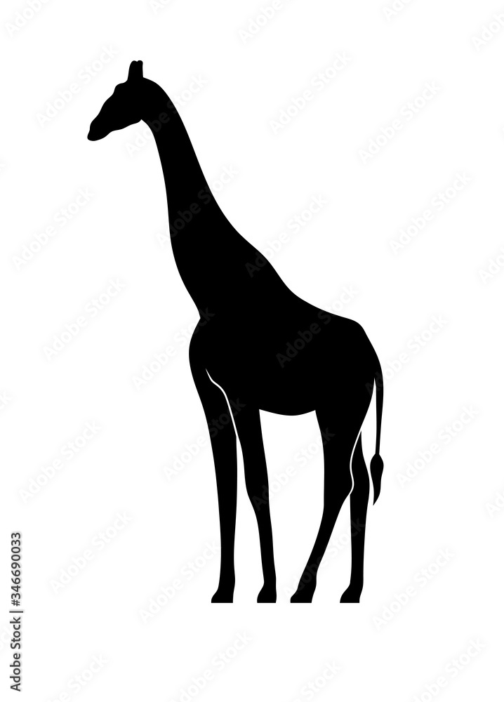 high African giraffe monogram color on a white background high African giraffe monogram color on a white background