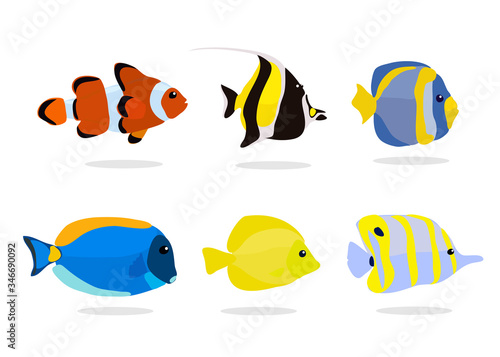 vector collection of Tropical fishes coral reef for aquarium, colorful ocean fish vector