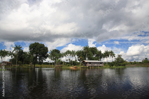 landscape of Amazon jungle river with floating house and coconut palm tree in Brazil 