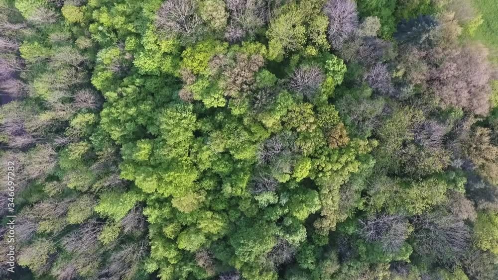 Rotating Birds Eye View Of Forest During Spring Rotating Birds Eye View Of Forest During Spring