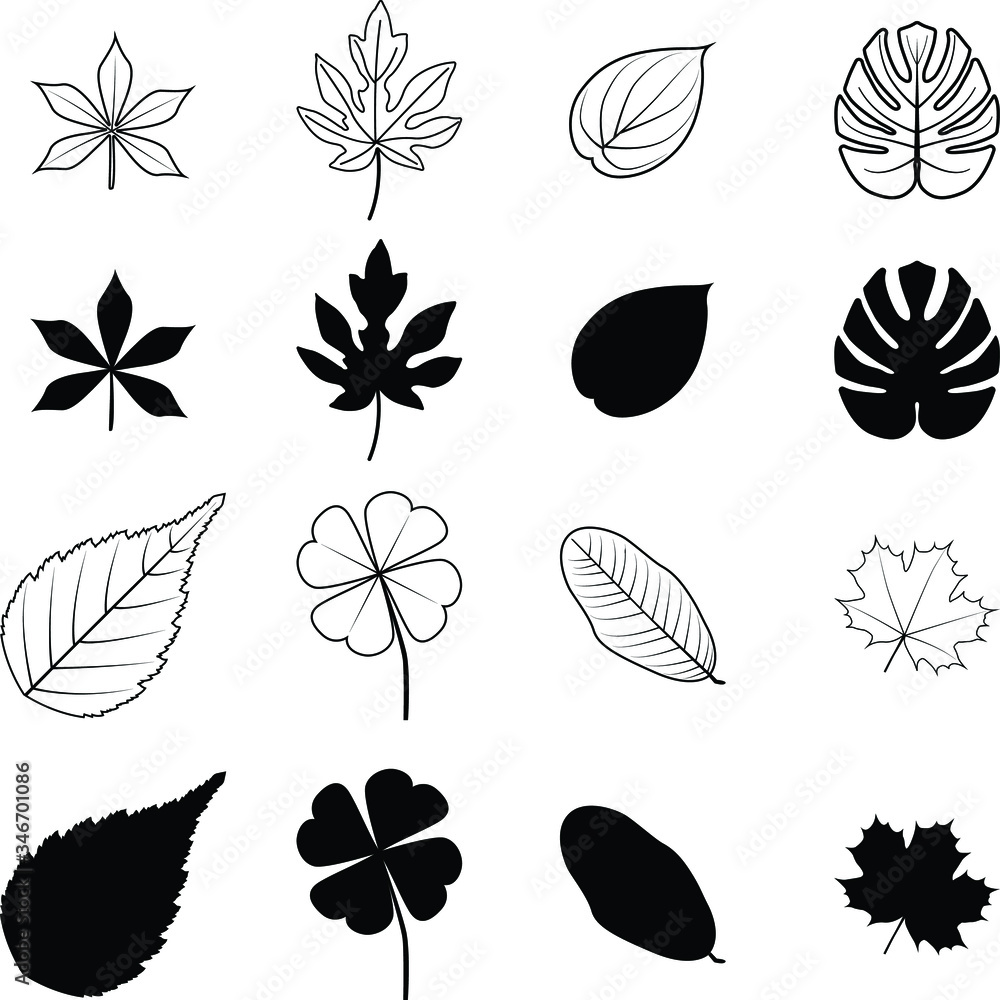 set of leaves silhouettes set of leaves silhouettes