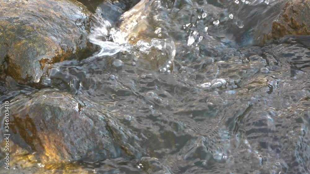 fishes fight in upstream water fishes fight in upstream water