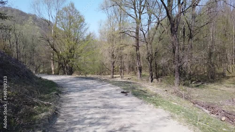 Relaxing countryroad hyperlapse. Relaxing trip through the forest. Relaxing countryroad hyperlapse. Relaxing trip through the forest.