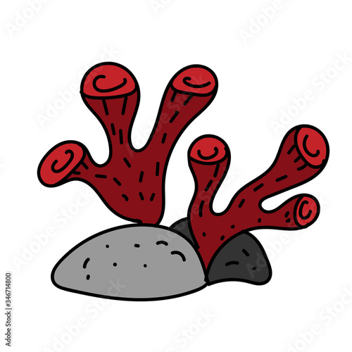 color vector element, black and white picture of a marine inhabitant, algae
