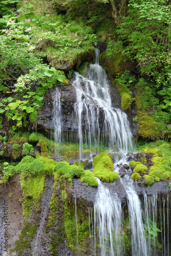 Fototapeta Naklejka Na Ścianę i Meble -  滝と緑の風景