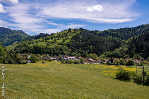 Beautiful landscape in the Black Forest near the small village Muenstertal with mountains and forests for hiking and vacation