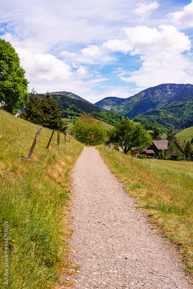 A hiking trail in the Black Forest with a beautiful view of the landscape and mountains