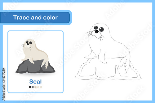 Drawing worksheet for preschool kids