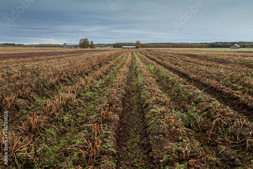 Plowed Fields On An Autumn Morning