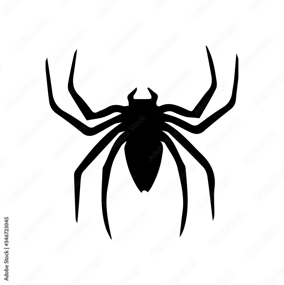 Tarantula silhouette on white background Tarantula silhouette on white background