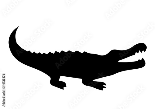 Crocodile silhouette on white background