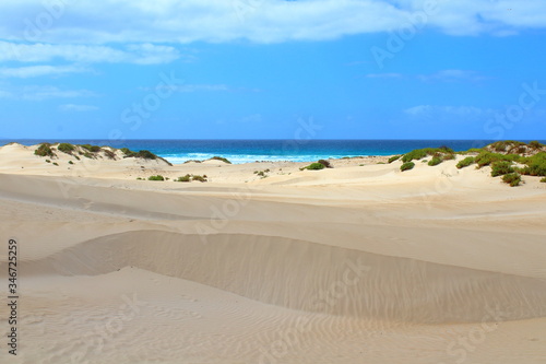 sand beach and sea in port lincoln  south australia