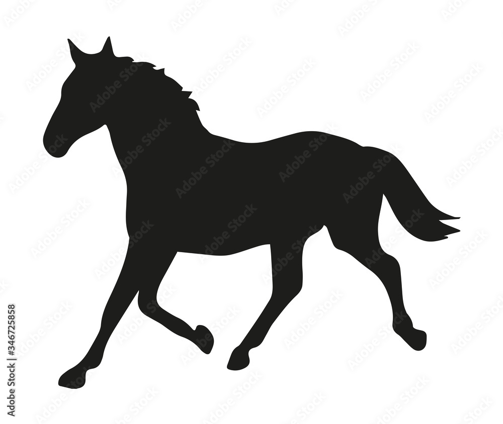 Horse Silhouette On White Background, Horse Silhouette On White Background,