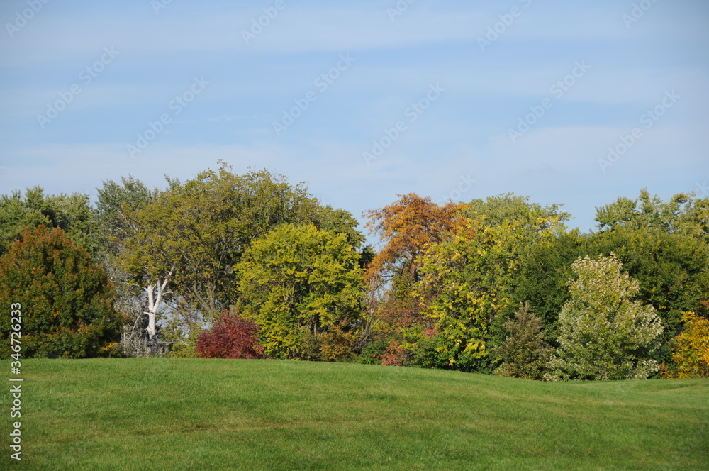 autumn tree fall park trees autumn tree fall park trees