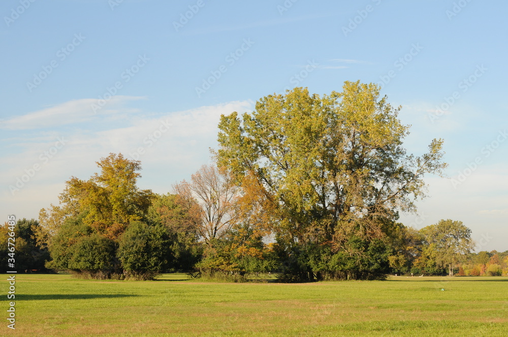 autumn tree fall park trees autumn tree fall park trees
