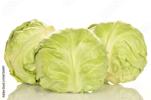 Green cabbage, macro, on a white background