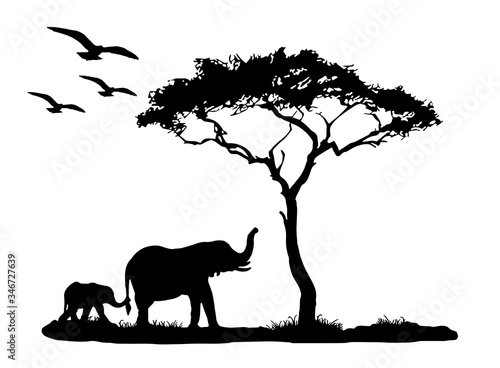 Silhouette of elephant with tree and birds in the sky on white background.