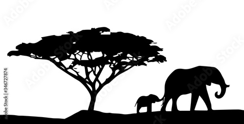 Canvas Print Silhouette of elephant and tree on white background.
