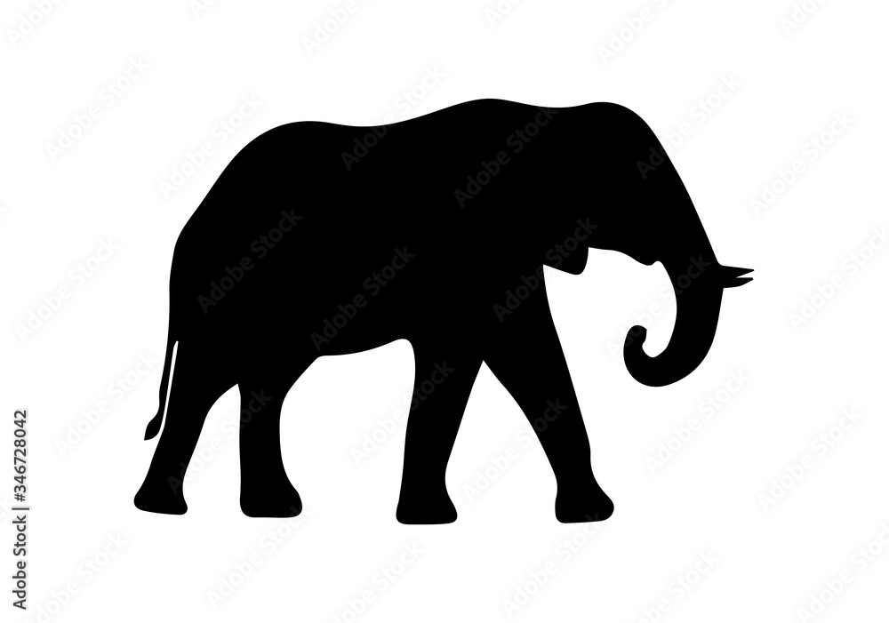 Obraz premium Silhouette of elephant on white background