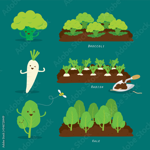Set of Vegetable garden. Organic and healthy food Cartoon Vector illustration.