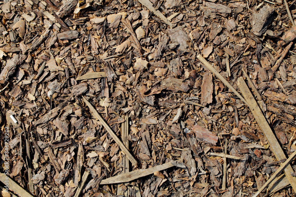 Wooden background from sawdust, tree bark and garbage Wooden background from sawdust, tree bark and garbage
