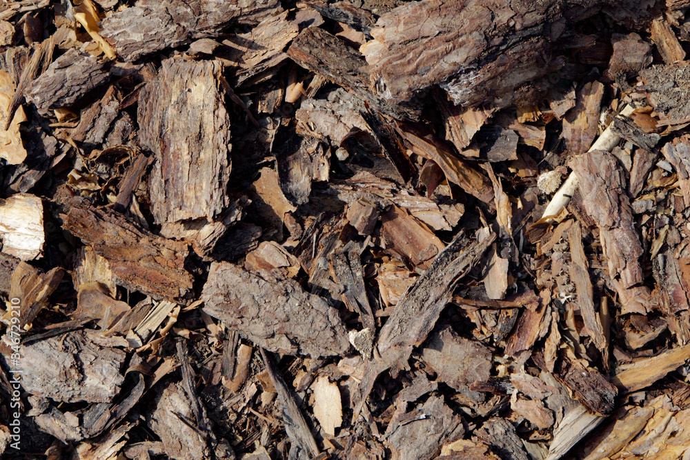 Wooden background from sawdust, tree bark and garbage Wooden background from sawdust, tree bark and garbage