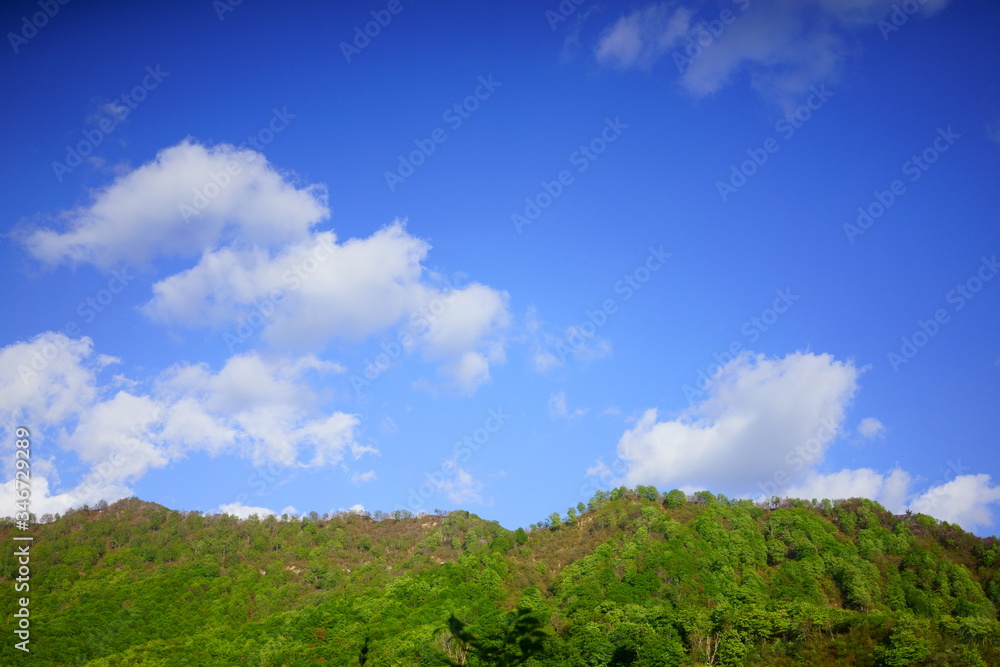 春の芽吹きの山々と青空が広がる風景