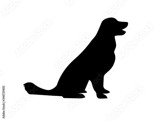 Silhouette of dog on white background.