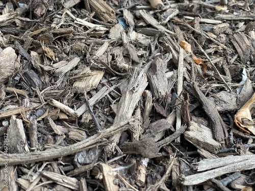 dried tobacco leaves