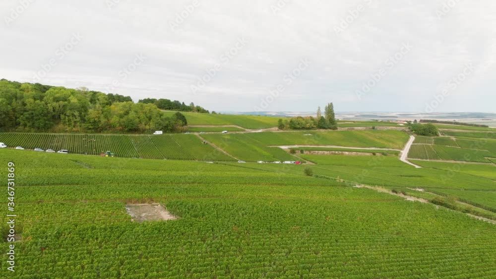 Aerial of Workers and moving Vehicules during Grapes Harvest for Champagne Wine - Ulysse Tassin Reims Drone 5/12 Aerial of Workers and moving Vehicules during Grapes Harvest for Champagne Wine - Ulysse Tassin Reims Drone 5/12