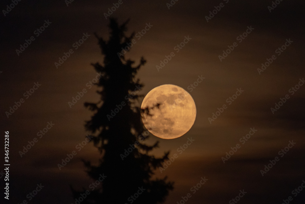 Fototapeta premium Mond - Vollmond aufgang