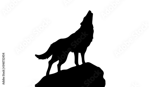 Silhouette of wolf on white background