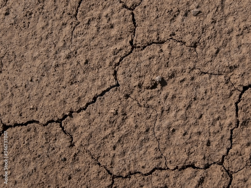 dry brown earth texture with cracks