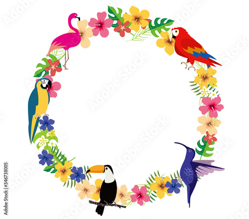 南国イメージイラスト