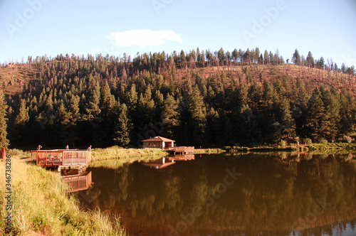 nature lake water landscape  river tree