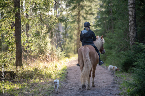 Woman horseback riding in forest