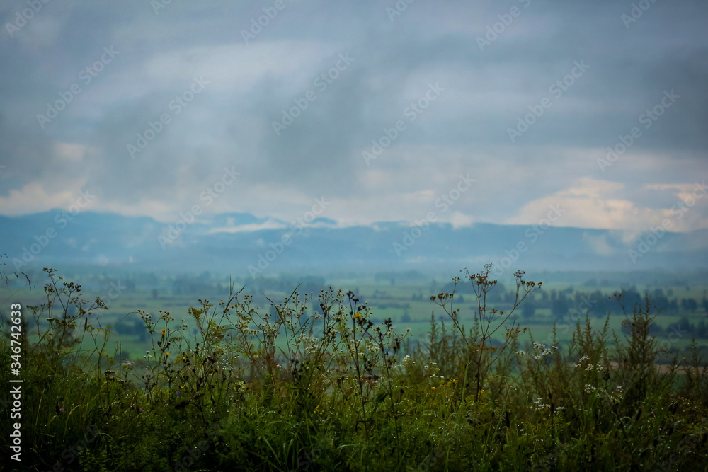 Rainy panorama over greeb plains and fields of ljubljana marshes and with clouds and mountains in the background and flowers in the foreground.