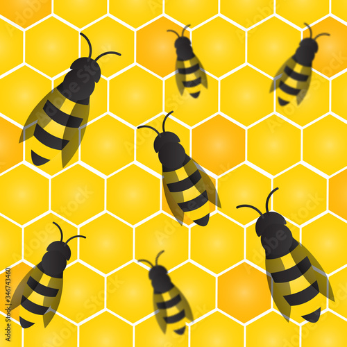 Bees, wasps and honeycombs with honey. Vector