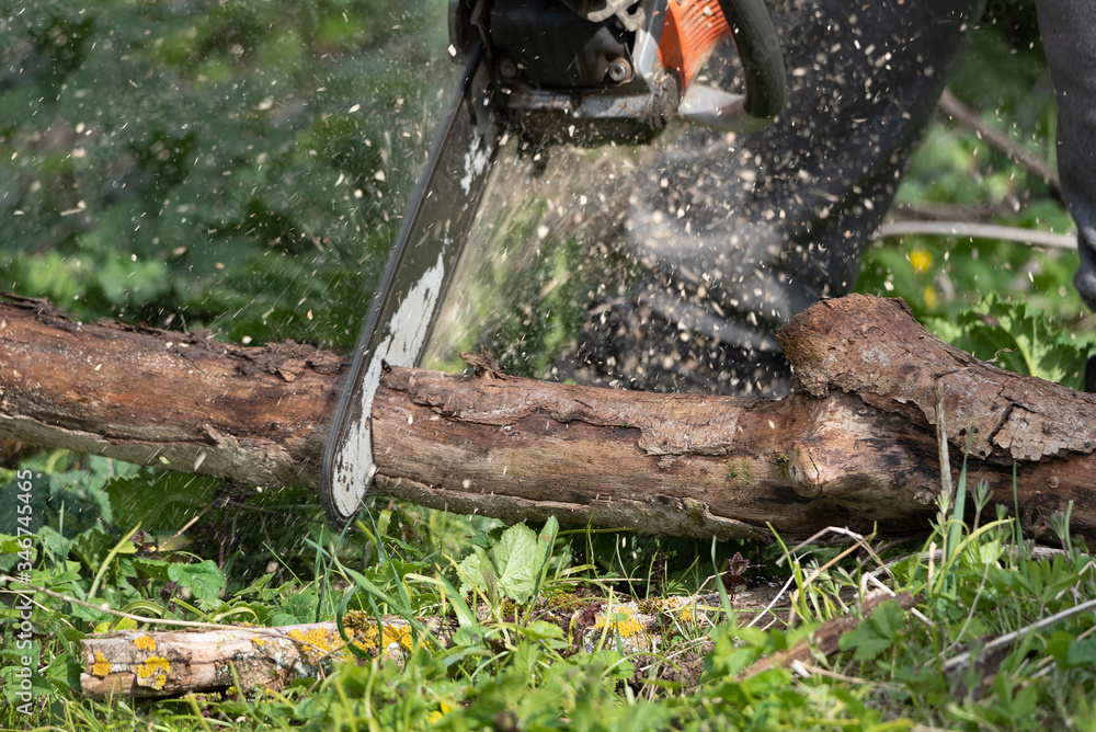 Fototapeta premium Man works by chainsaw.