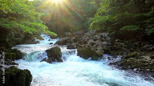 Sun shines on the clear river in the valley, the stream in the deep forest