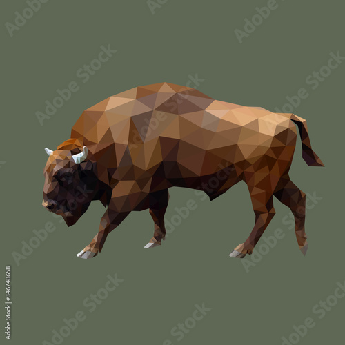 Abstract polygonal geometric buffalo, pattern design, vector illustration created from triangles.
