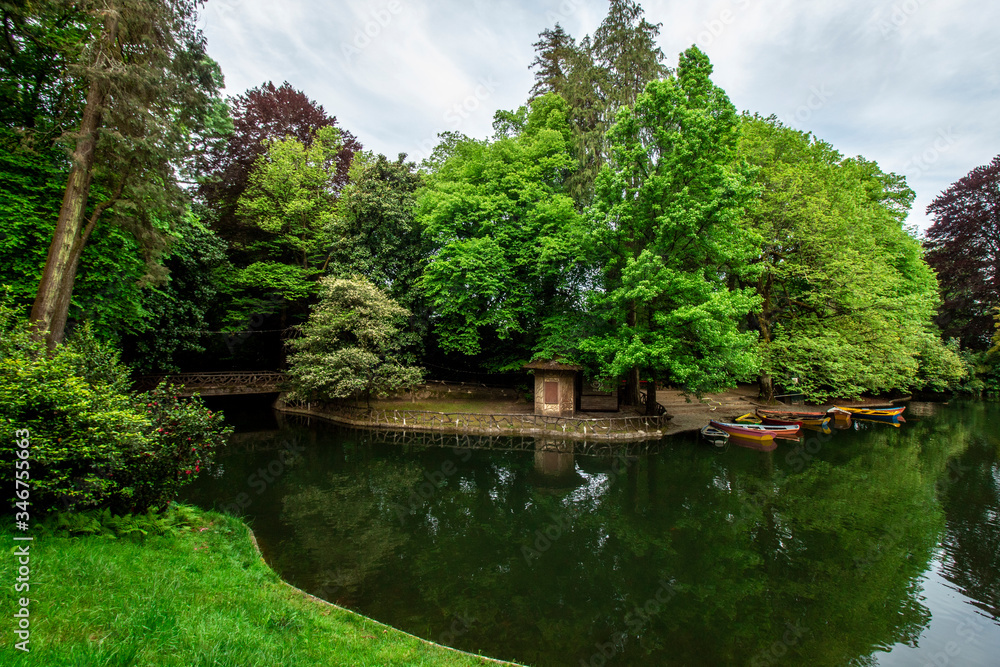 pond in the park